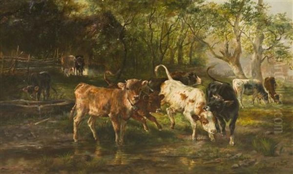 Calfs At The Stream - view 1
