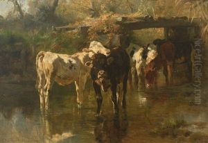 Kalber An Der Tranke Eines Waldbaches by Anton Braith
