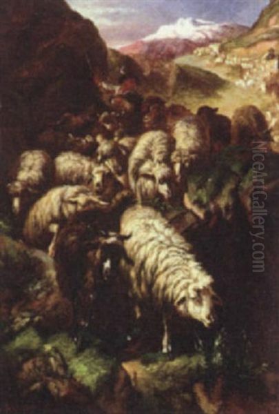 Herding Sheep Through The Mountains - view 1