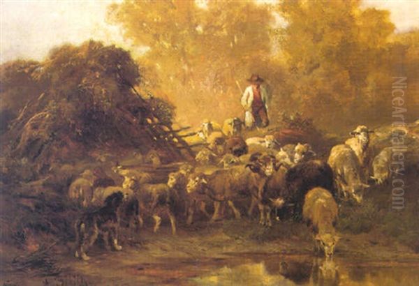 Shepherd And His Flock - view 1