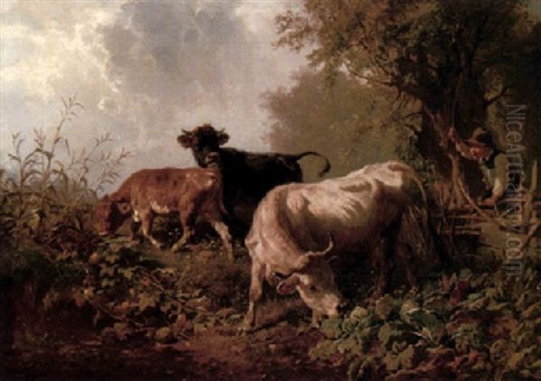 Hirtenjunge Und Vieh - Kuh, Stier Und Kalb Auf Der Weide - view 1
