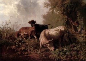 Hirtenjunge Und Vieh - Kuh, Stier Und Kalb Auf Der Weide Hirtenjunge Und Vieh - Kuh, Stier Und Kalb Auf Der Weide
