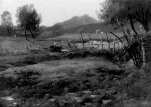 Wiesenlandschaft Mit Weidezaun