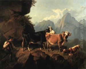 Huterbub Mit Kuhen Und Kalb Im Hochgebirge