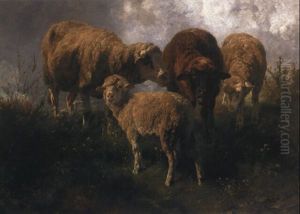 Vier Schafe Auf Der Weide Vier Schafe Auf Der Weide
