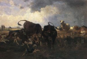 Eine Aufgeschreckte Rinderherde Eine Aufgeschreckte Rinderherde