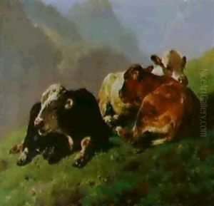 Schwarzbuntes, Rotbuntes Und Falbes Kalb Auf Einer Bergalm  Im Sonnenschein