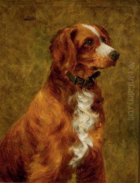 Portrait Of An English Setter - view 1