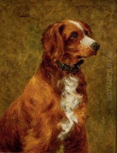Portrait Of An English Setter by Clarence E. Braley