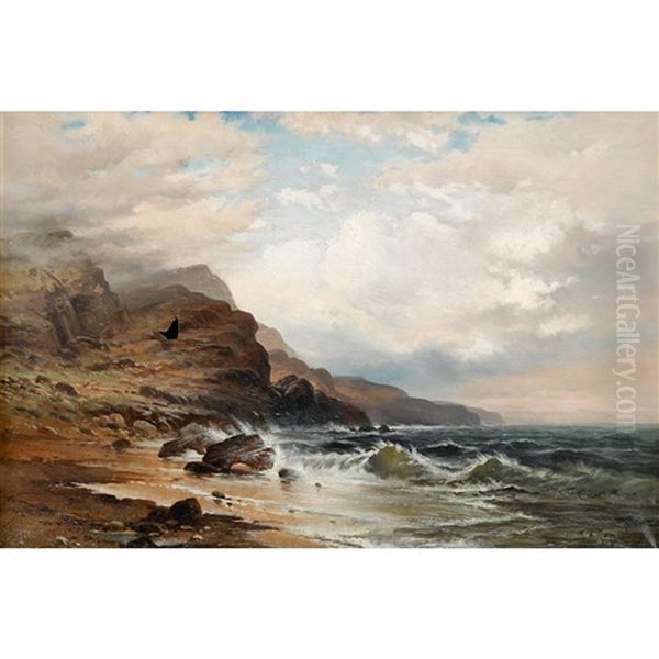 Rocky Coast - view 1