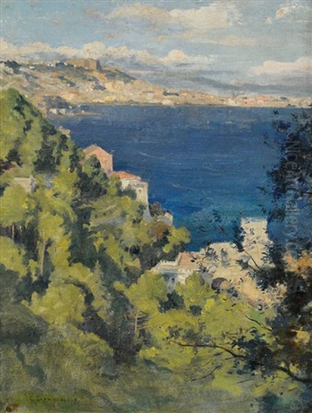 Scorcio Del Golfo Di Napoli - view 1