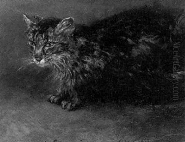 Chat A L'affut - view 1