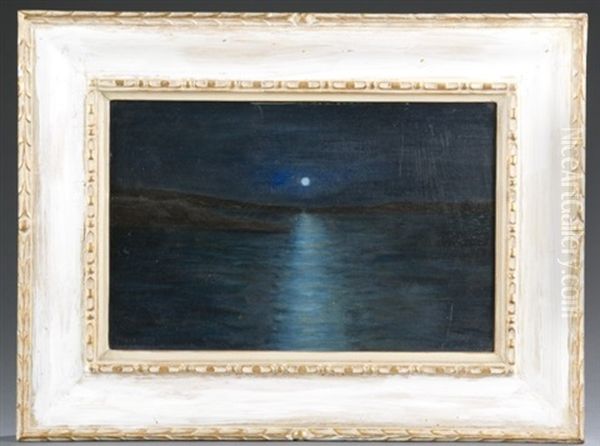 Nocturnal Landscape - view 1