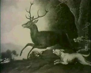 Hirschjagd Hirschjagd