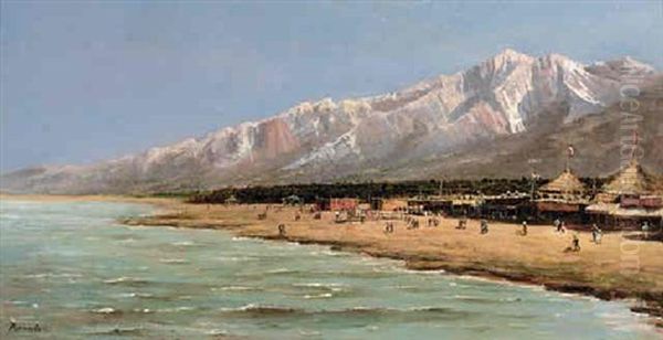 A Coastal Colony - view 1