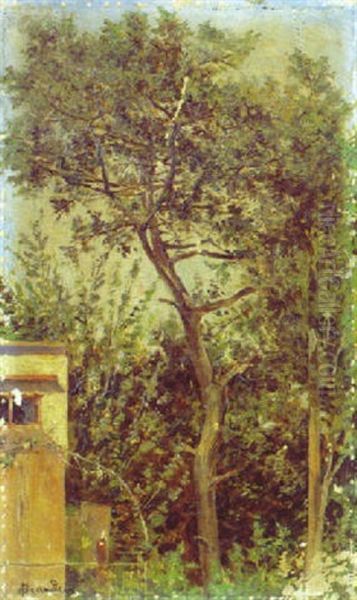 L'arbre - view 1