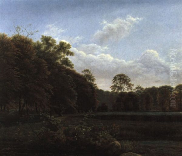 Seeufer - view 1
