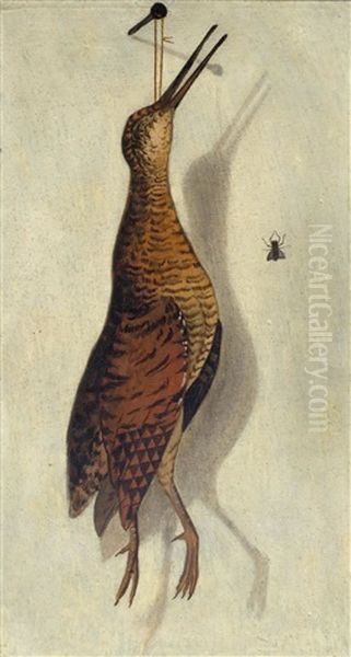 Trompe 'oeil With A Snipe And A Fly - view 1