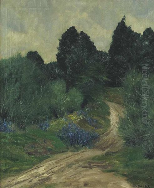 Weg Mit Strauchern Und Baumen Im Hintergrund - view 1