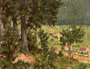 Paysage Paysage