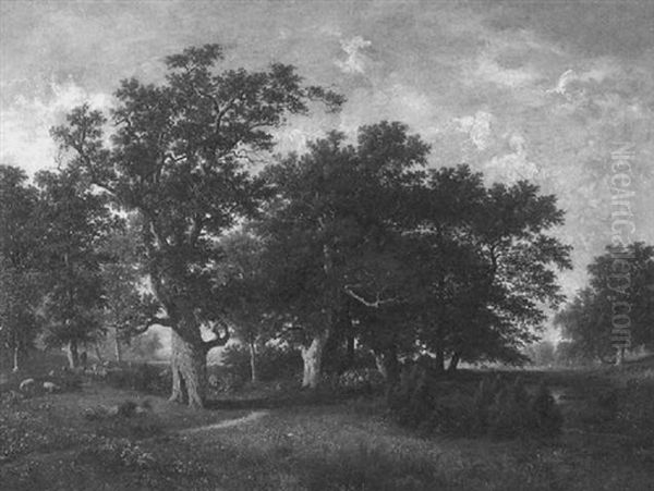 Schafer In Baumbestandener Landschaft - view 1