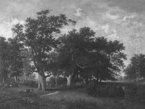 Schafer In Baumbestandener Landschaft Schafer In Baumbestandener Landschaft