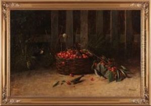 Katze Lauert Auf Kirschdiebe