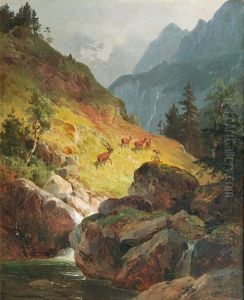 Paar Gegenstucke: Bar Und Rotwild In Den Tiroler Alpen