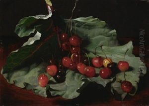 Stilleben Mit Kirschen Auf Einem Rabarberblatt Stilleben Mit Kirschen Auf Einem Rabarberblatt
