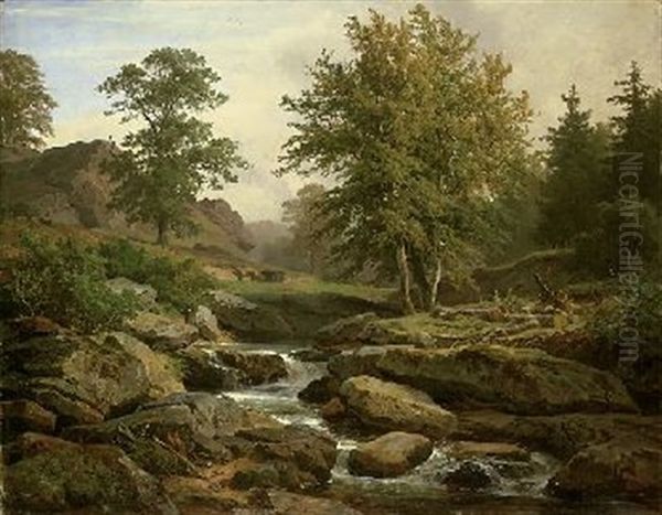 Landschaft Bei Harzburg - view 1