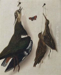 A Plover, A Longbill And A Mistle-thrush Hanging From A Nail, With A Red Butterfly A Plover, A Longbill And A Mistle-thrush Hanging From A Nail, With A Red Butterfly
