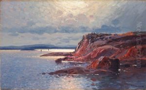 Kustmotiv Med Klippor Kustmotiv Med Klippor