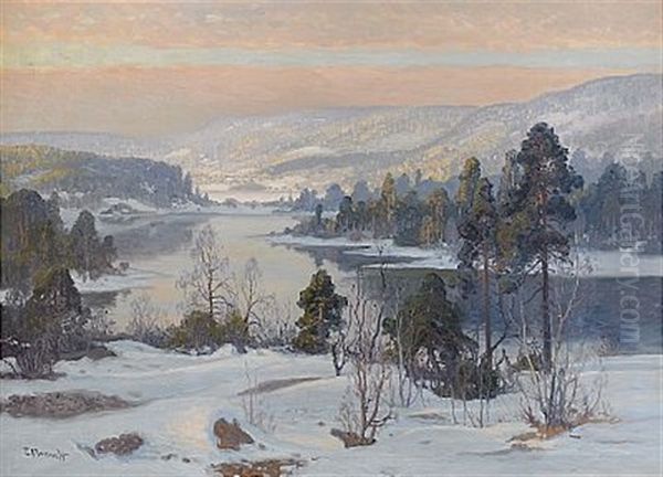 Solbelyst Vinterlandskap - view 1
