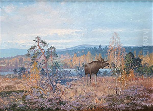 Alg I Hostlandskap - view 1