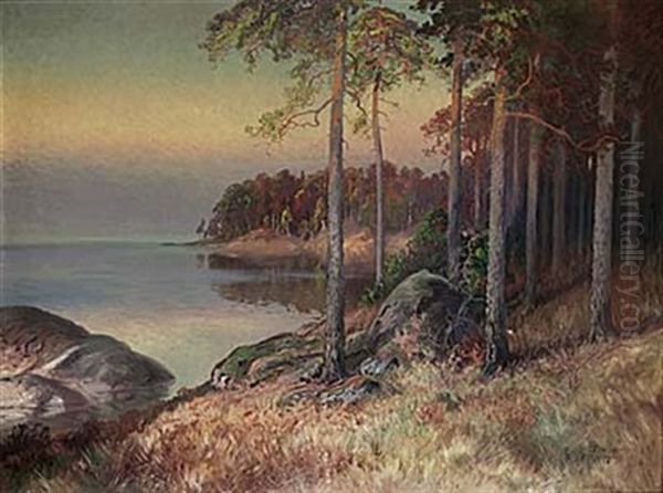 Strandmotiv Med Tallar - view 1