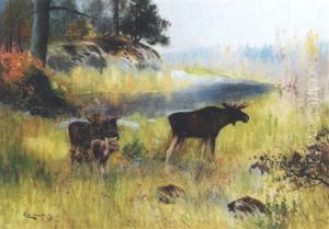 Svensk Landskab Med Elge