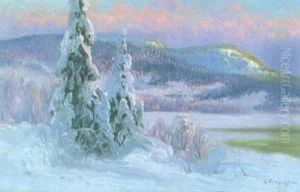 Vinterlandskap I Eftermiddagsljus Vinterlandskap I Eftermiddagsljus