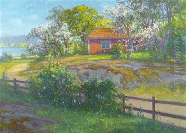Sommarlandskap Med Rod Stuga Och Blommande Frukttrad - view 1