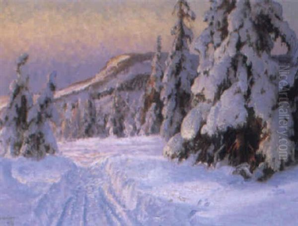 Vinterlandskap Med Aftonljus - view 1