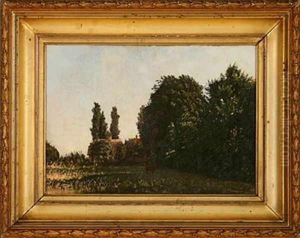 Summer Landscape - view 1
