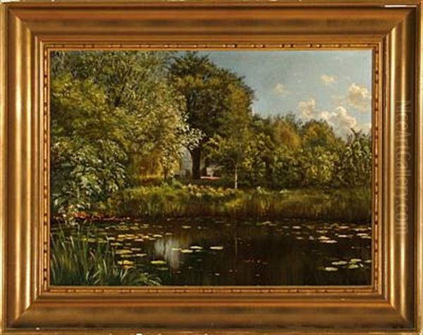 A Summer Day At A Forest Lake - view 1