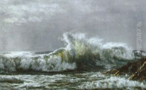 Hoje Bolger Mod Klippekyst by Johannes Herman Brandt