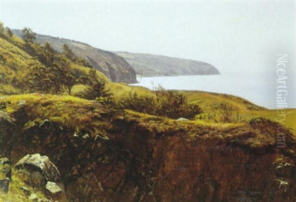 Parti Fra Bornholm - view 1