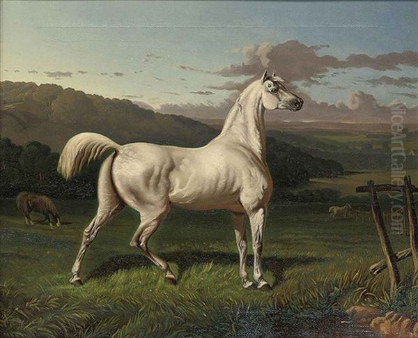 A Grey Horse On Full Alert - view 1