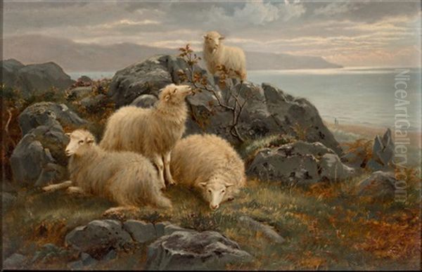 Moutons Dans Un Paysage - view 1