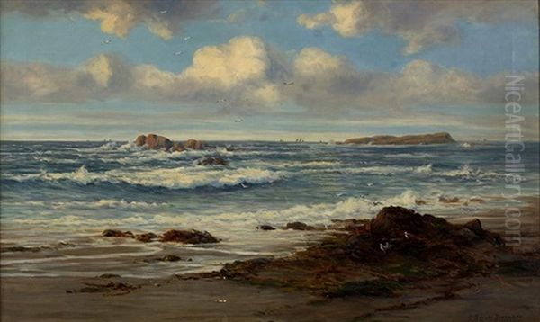 Landscape - view 1