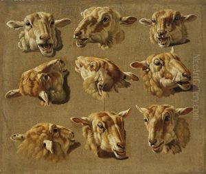 Study Of Sheep's Heads by Jacques Raymond Brascassat