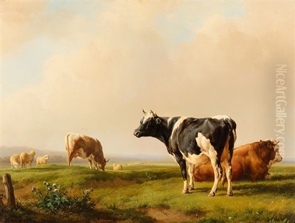 Weite Landschaft Mit Kuhen Und Schafen - view 1