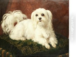 Odette, A Maltese On An Embroidered Cushion by Jacques Raymond Brascassat