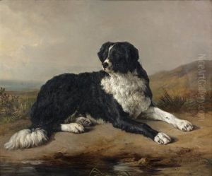 Chien Berger Au Repos Dans Un Paysage (study) by Jacques Raymond Brascassat